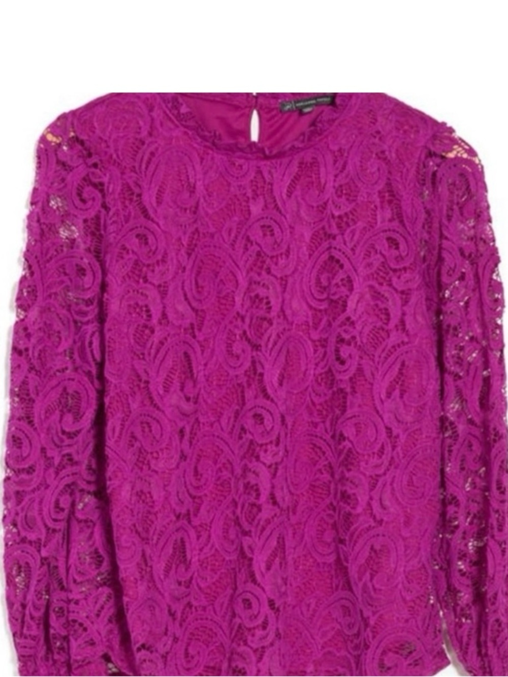 NWOT - Adrianna Papell Raspberry Lace Ruffled Neck Top - size L